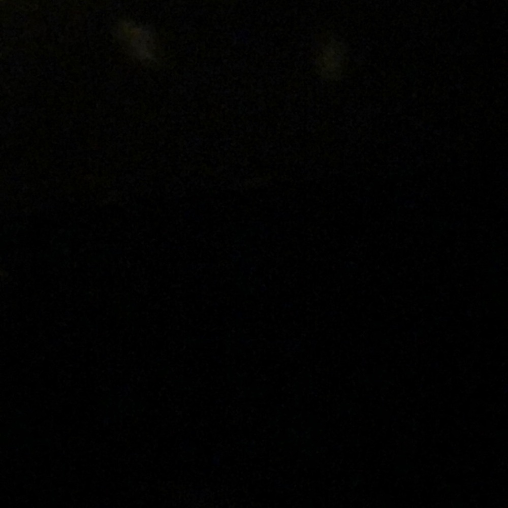 Meet your Posher, Karissah